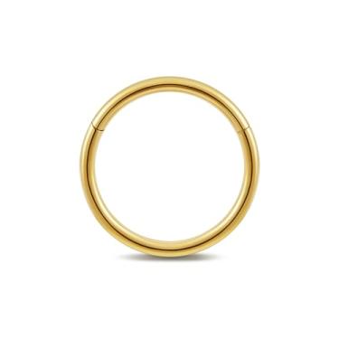 Imagem de FINE4U Argola articulada de calibre grande 6G, 8G, 10G, 10 mm, 12 mm, 14 mm, 16 mm - ASTM F136 de titânio clicker para septo, alongamento do lóbulo, joia de piercing corporal hipoalergênica sem níquel, 1/4"(6mm), Titânio, Sem pedras preciosas