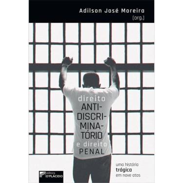 Imagem de Direito Antidiscriminatório E Direito Penal