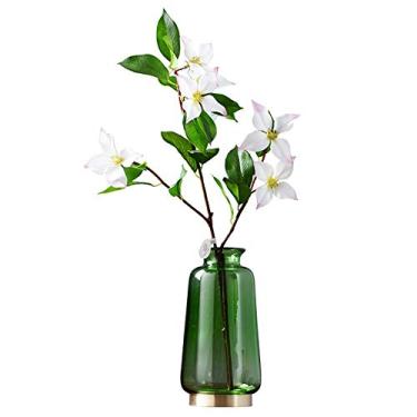 Imagem de YYBOES Vaso de vidro para decoração de vaso de flores, vaso de vidro transparente de cobre estilo americano, sala de estar, mesa de jantar, arranjo de flores, mesa nórdica, decorações hidropônicas