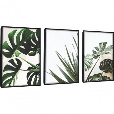 Imagem de Quadros Decorativos Folhas De Adão Com Moldura Preto