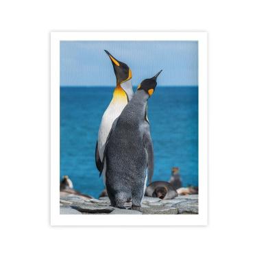 Imagem de Pinguins Animais Oceano Mar Quadro Moldura Branca 60X40Cm