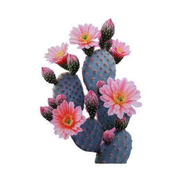 Imagem de Pôster De Arte Em Tela Minimalista Boho Com Cactos Do Deserto Para Dec