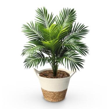 Imagem de Planta Artificial Palmeira Em Cesto Decorativo Fibra Artesanal Decoração Ideal Para Decoração
