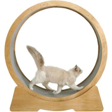 Imagem de Roda de exercícios para gatos para gatos internos, diâmetro interno 42,5 "Grandes rodas de corrida de gatos, roda de esteira de gato fácil montada com mecanismo de travamento adequado para a
