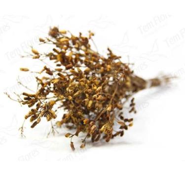 Imagem de Ramo Roxo Amarelo Flor Desidratada Buque Flores Secas - Tem Flores