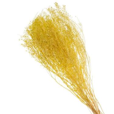 Imagem de Buque de Flores Secas Sementinha Verde - Pense Flores, Amarelo