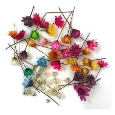 Imagem de Florzinha Sempre Viva Para Bijuteria I Flores Desidratadas - Pense Flo