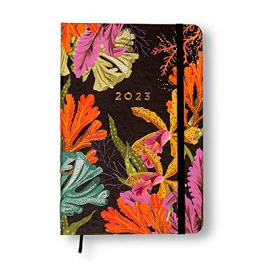 Imagem de Cicero Agenda Planner 2023 Oceano Semanal Anotações 14x21 Profundo, Modelo: 9856, Cor: Colorido