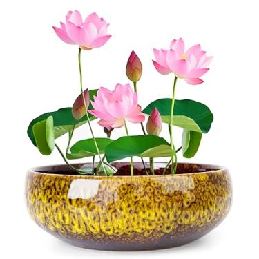 Imagem de ARTKETTY Tigela de lótus - Tigela grande de flor de lótus de 20 cm para plantas aquáticas, tigela de bonsai de cerâmica para plantas hidropônicas, suculentas, ambientes internos e externos