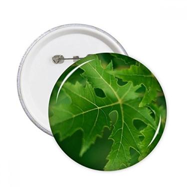 Imagem de Imagem de planta de folha fresca natureza alfinetes redondos emblema botão decoração acessório 5 peças