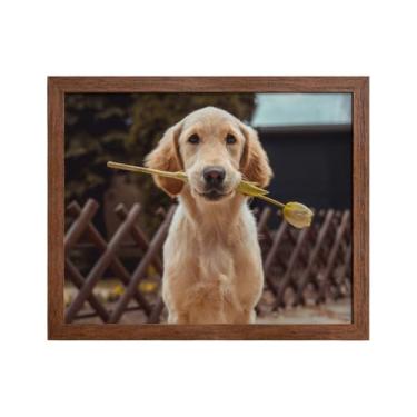 Imagem de Kit 6 Porta-Retratos de Parede 20x25 cm com Moldura em MDF – Composição de Fotos Família e Viagem(Madeira escura)