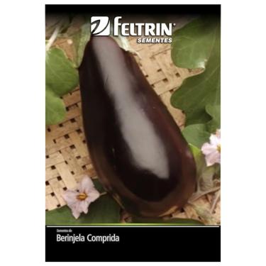 Imagem de Kit 4 Sementes Legumes Horta Em Casa Jardins Vasos (Berinjela, Beterraba, Brócolis, Couve)