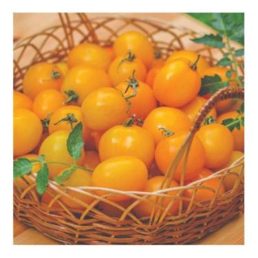 Imagem de Sementes de Tomate Cereja Amarelo Yashi Env C/ 2gr de Sementes - FELTR