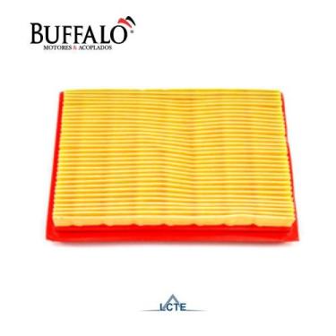 Imagem de Filtro de Ar para Soprador Costal Buffalo BFG600 2t 6665