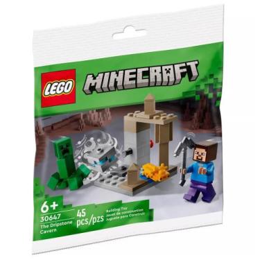 Imagem de Lego Minecraft A Caverna Gotejante 45 Pecas 30647