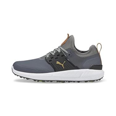 Imagem de PUMA Sapato de golfe masculino Ignite Articulate, Quiet Shade/Puma Team Gold/Puma Black, 12.5