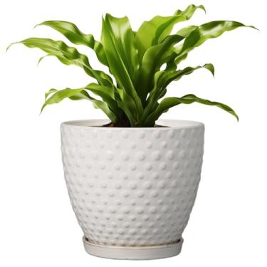 Imagem de G EPGardening Vaso de 20 cm para plantas internas e externas, vaso redondo de cerâmica com orifício de drenagem e pires, vaso de flores grande moderno branco