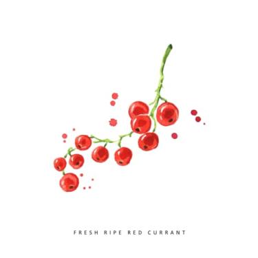 Imagem de Fresh Ripe Red Currant Notebook: Notebook, Journal, Planner, Logbook, Daily Notes, 8.5x11 Wide Ruled Lined 110 Pages, Perfect for Women, Girls, Teens, Ladies, Bosses, Mentors and Friends