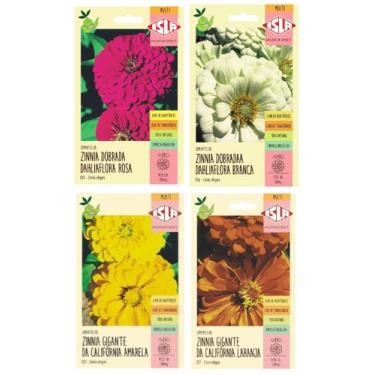 Imagem de Kit 4X Semente Zinnia Dahliaflora Gigante Da Califórnia ISLA