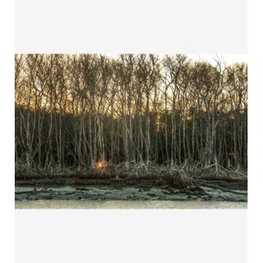 Imagem de Silêncio Infinito 28 - Amazart