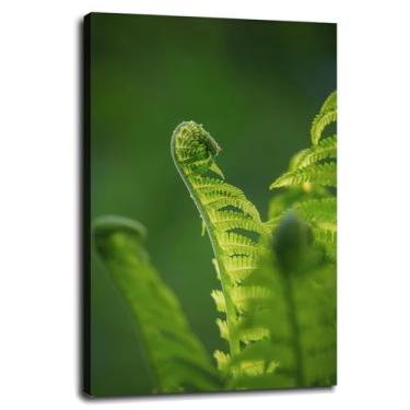 Imagem de Pôster de samambaia impressões em tela verde folhas arte de parede para casa 1 painéis decorações com moldura 30,5 x 20,3 cm