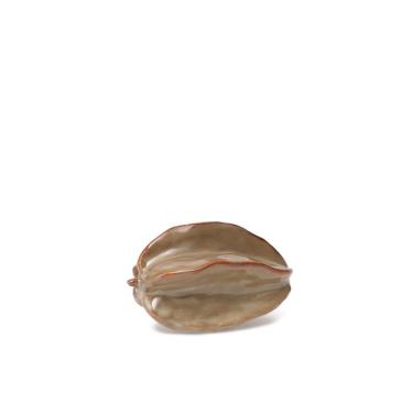 Imagem de Escultura Decorativa Carambola em Cerâmica 9cm 22984P Mart