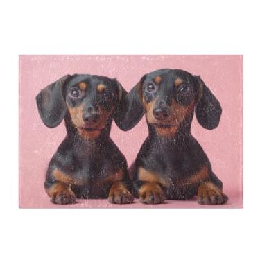 Imagem de Burbuja Tapete de banho para cães Valentine, tapete de banheiro absorvente extra macio com suporte antiderrapante para banheiro, banheira, chuveiro, 40 x 61 cm