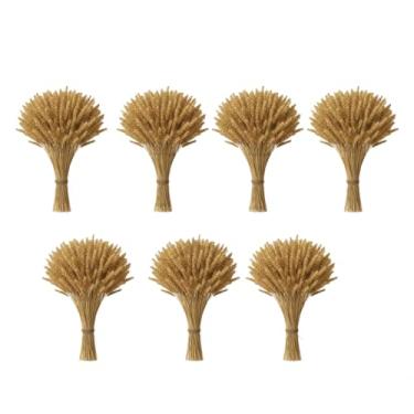 Imagem de 400 Hastes De Trigo Seco Para Decoração Festa Enfeites Artigos Mesa Arranjo Elegante, Wedding Venues & Home Altars, Long-Lasting Beauty Without Care(07 Maços (280 Hastes))