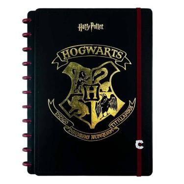 Imagem de Caderno Inteligente Harry Potter Hogwarts 80Fls - Grande