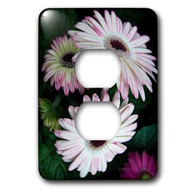 Imagem de 3dRose Lsp_6265_6 Gerber Margaridas, 2 tampas, multicolorido