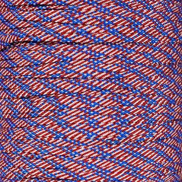 Imagem de Corda de paraquedas 550 tipo III 7 fios de 4 mm de diâmetro – cabo de sobrevivência de resistência à tração de 250 kg (30 metros, bandeira, enrolador)