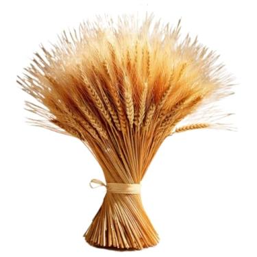 Imagem de Talos De Trigo Secos — Adequados Para BuquêS, Arranjos De Mesa, DecoraçõEs De Casamento E Festas.(50)