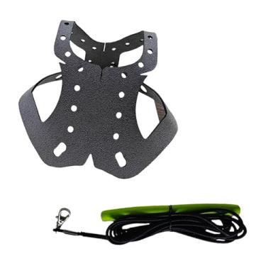 Imagem de Baoblaze Coleira e guia para treinamento de pombos, leve, para pombos de estimação, corda de tração para voo ao ar livre, Cinza