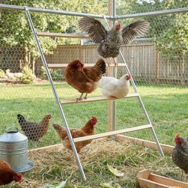 Imagem de EOWOAN Poleiros de galinha de metal, acessórios de galinheiro de 140 cm de comprimento para 10 a 12 frangos, fácil de montar e limpar