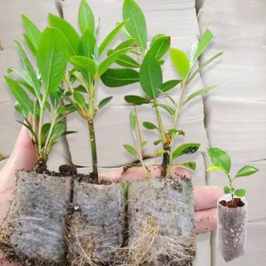 Imagem de 100 peças de sacos de berçário de plantas não tecidas vasos de mudas sacos de cultivo bolsa de plantas para vegetais, flores e estufa (P, 7 x 9 cm)