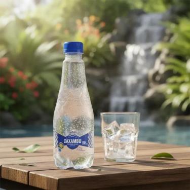 Imagem de Água Mineral Gourmet Caxambu S/g - Pack 12X330ML