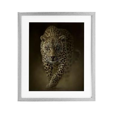 Imagem de Stupell Industries Estampa emoldurada cinza Savage Leopard Predator Under Glass por Collin Bogle, 40,6 x 33,5 cm