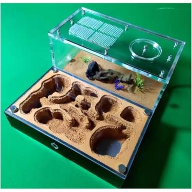 Imagem de Fazenda de formigas de ninho de ninhos de formiga de formiga de formiga para formiga Estudo da fazenda do comportamento de formiga Ninho de formiga Terrarium Educational Formicarium Nuturing