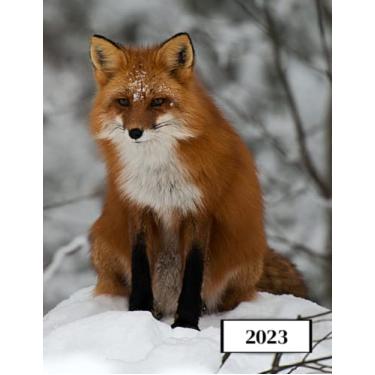 Imagem de 2023: Agenda semainier au format A4 - Année civile (Janvier à Décembre 2023) - Intervalles d'1h (7h-22h) - Contacts, jours fériés, mots de passe, ... - Une semaine sur deux pages