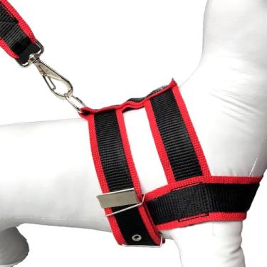 Imagem de Conjunto Peitoral Com Guia De Nylon Duplo Especial Resistente Para Cachorro Cão Grande Porte (Vermelho,10)