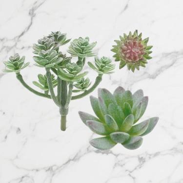 Imagem de Pacote com 3 plantas suculentas artificiais, vegetação falsa realista, sortidas, suculentas duplas, mini arranjos decorativos