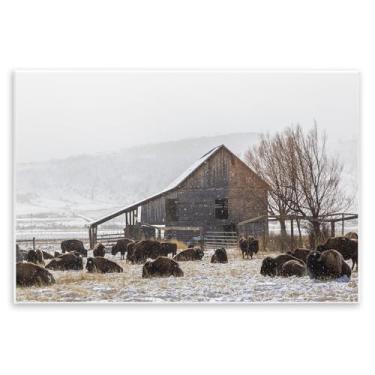 Imagem de Stupell Industries "Colorado Buffalo Snowy Farm", arte de placa de parede, 48 x 33 cm