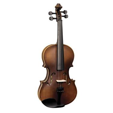 Imagem de VIOLA VOGGA VOL144N 4/4