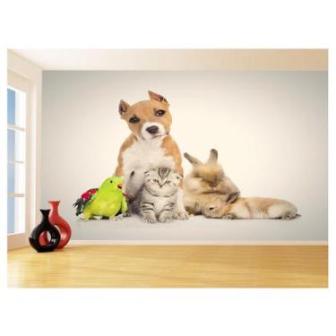 Imagem de Papel De Parede Animais Cão Gato Papagaio Pet 3,5M Anm410 - Você Decor
