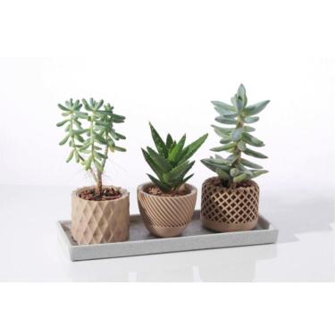 Imagem de Kit Vasos Suculenta Moderno