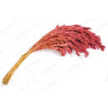 Imagem de Capim Pinguelo Desidratado Buque Flores Secas - Naturais Flor Decoraçã