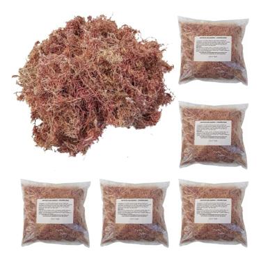 Imagem de Kit 5 Musgos Sphagnum 5 Litros Substrato P/Plantas Orquídea