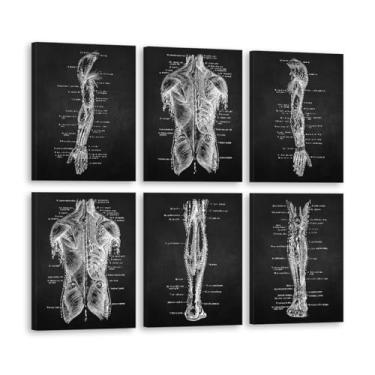 Imagem de Conjunto de 6 pôsteres de pintura em tela de músculo de órgão esqueleto impressões vintage anatomia do corpo humano arte fotos de parede médica decoração de sala de clínica (SKU2-6PCS, 40.6x50.8 cm =