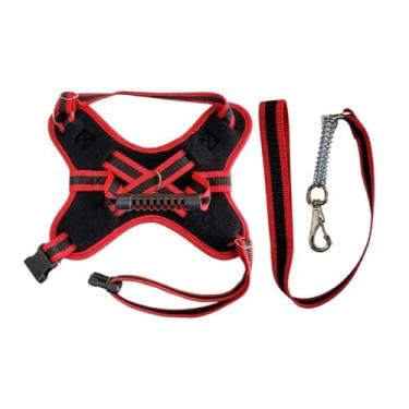 Imagem de Coleira e Guia para cachorro nome personalizado Peitoral pequeno médio grande porte(Vermelho,M)