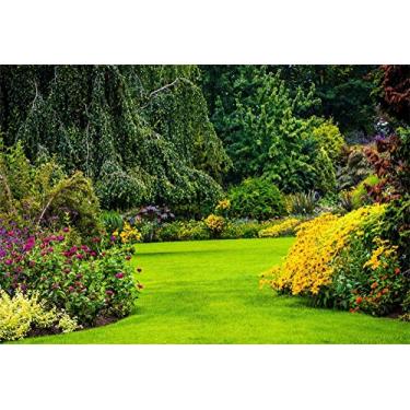 Imagem de Yeele Pano de fundo de primavera de 2,4 x 1,8 m para fotografia, plantas de primavera, flores de jardim, fundo de pastagem, parque cenário natural, crianças, adulto, foto, cabine de fotos, atirar em vinil Studio adereços